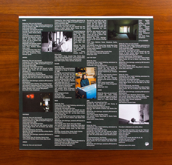 Clairo (2) : Sling (LP, Album)