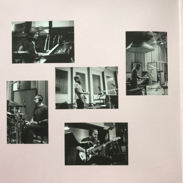 Death Cab For Cutie : Asphalt Meadows (LP, Album, Ltd, Pin)