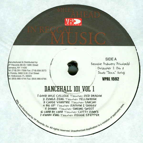 Various : Dancehall 101 Vol. 1 (LP, Comp)