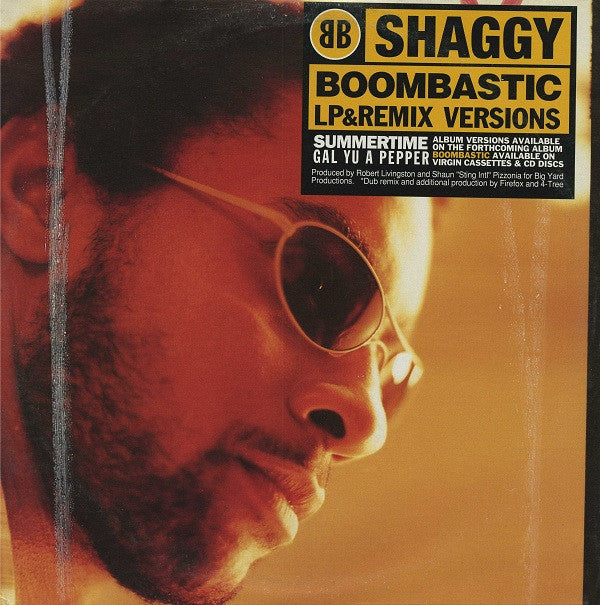 Shaggy : Boombastic (12")