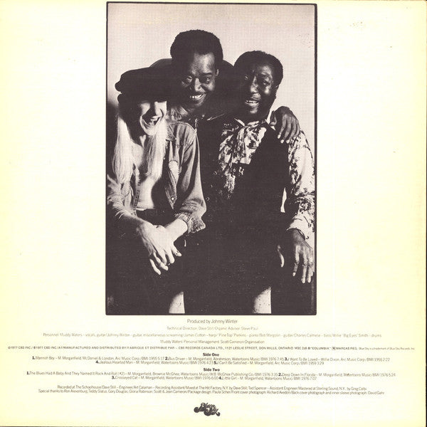 Muddy Waters : Hard Again (LP, Album)