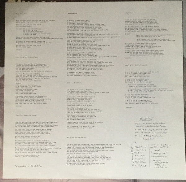 Silver Jews : Bright Flight (LP, Album)