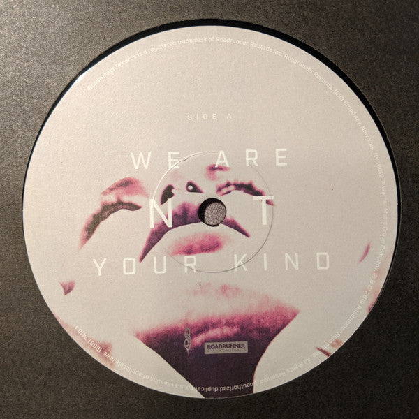 Slipknot : We Are Not Your Kind (2xLP, Album)