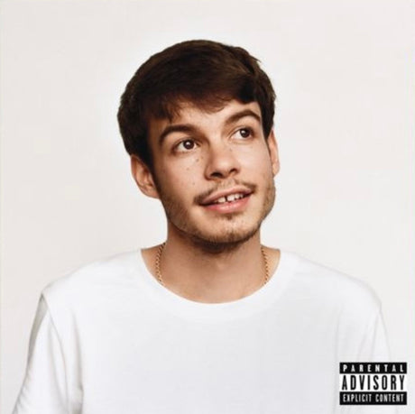 Rex Orange County : Pony (LP, Album, Ltd, Yel)