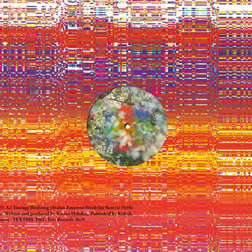 Four Tet : Teenage Birdsong (12")