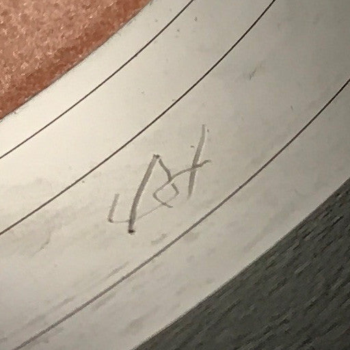 James Brown Directs And Dances With The The James Brown Band : The Popcorn (LP, Album, Ora)