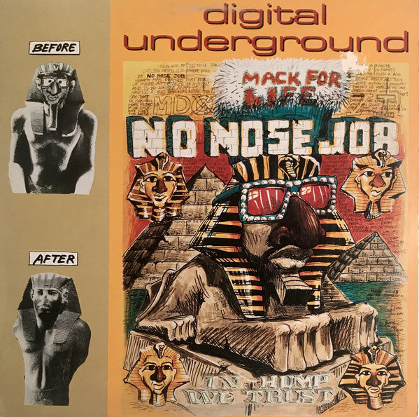 Digital Underground : No Nose Job (12")