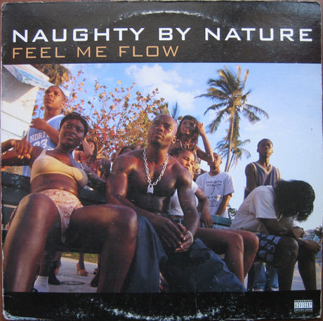 Naughty By Nature : Feel Me Flow / Hang Out And Hustle (12")