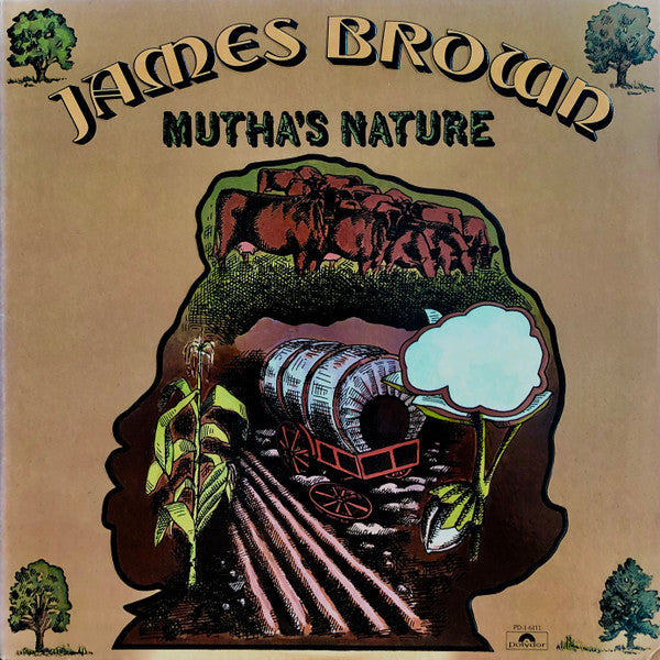 James Brown And The New J.B.'s : Mutha's Nature (LP, Album, Pit)
