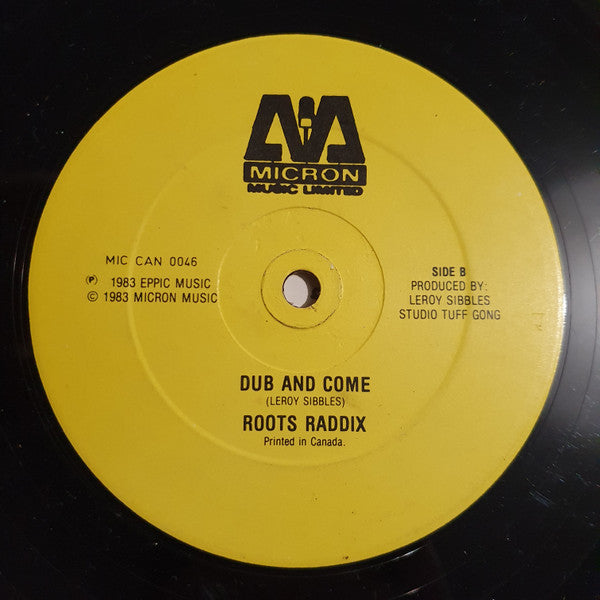 Leroy Sibbles / Roots Raddix* : Rock And Come On (12")