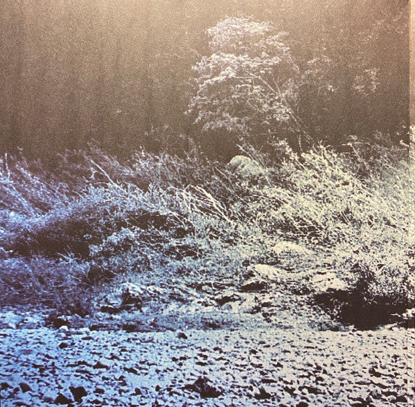 Foals : What Went Down (LP, Album, 180)