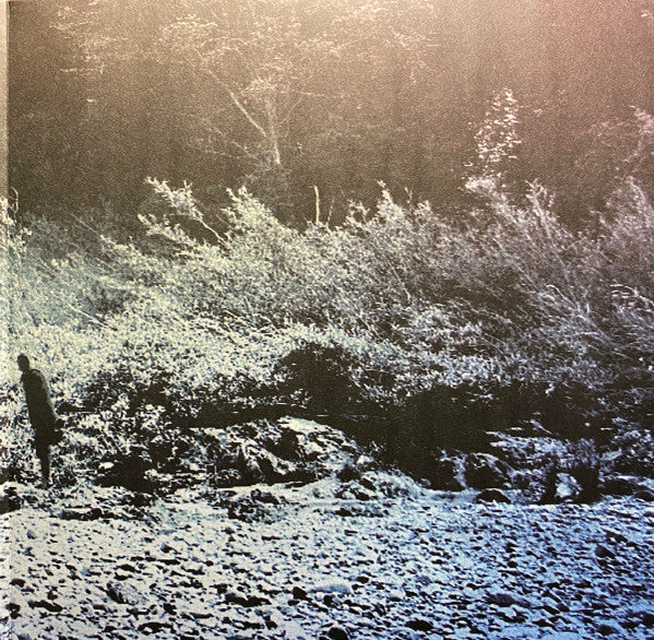 Foals : What Went Down (LP, Album, 180)