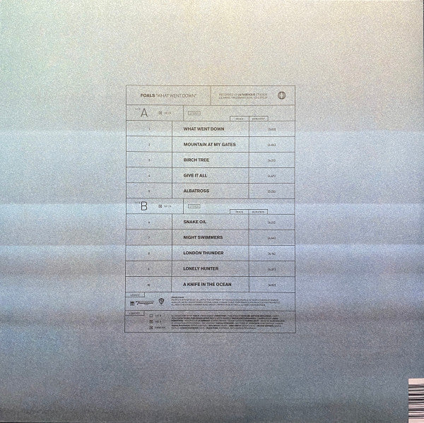 Foals : What Went Down (LP, Album, 180)