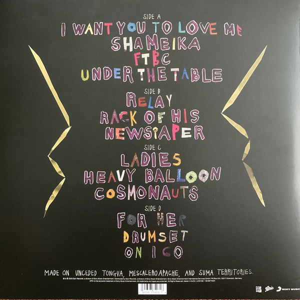 Fiona Apple : Fetch The Bolt Cutters (2xLP, Album, RP, 180)