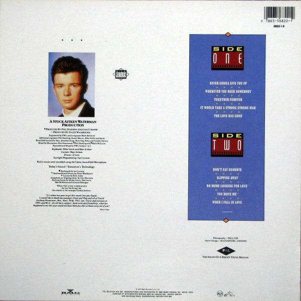 Rick Astley : Whenever You Need Somebody (LP, Album)