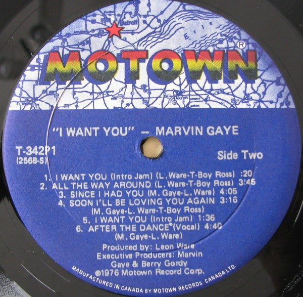 Marvin Gaye : I Want You (LP, Album)