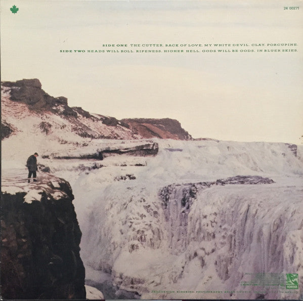 Echo & The Bunnymen : Porcupine (LP, Album)