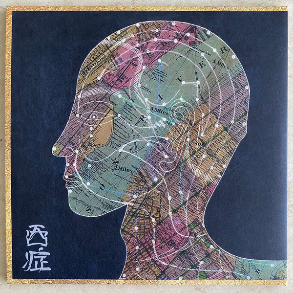 Preservation : Eastern Medicine, Western Illness (LP, Album)