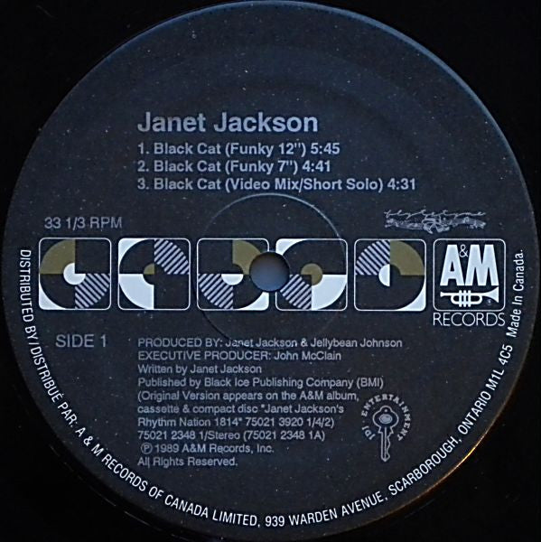 Janet Jackson : Black Cat (12", Single)