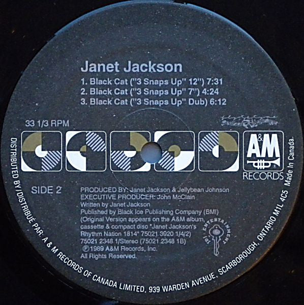 Janet Jackson : Black Cat (12", Single)