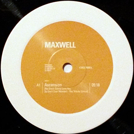 Maxwell : Ascension (Don't Ever Wonder) The Remixes (12", Promo)