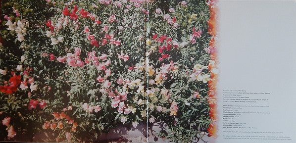 Mav Karlo : Strangers Like Us (LP, Album, Pin)