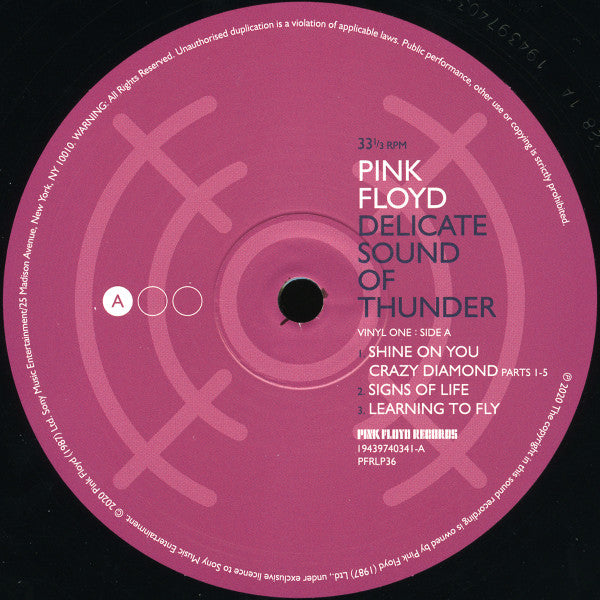 Pink Floyd : Delicate Sound Of Thunder (3xLP, Album, RE, 180)
