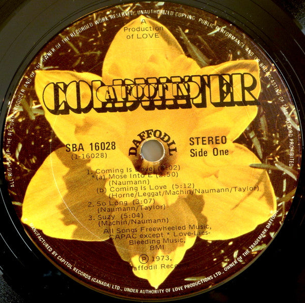 A Foot In Coldwater : The Second Foot In Coldwater (LP, Album)