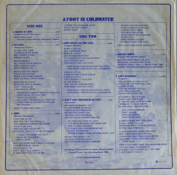 A Foot In Coldwater : The Second Foot In Coldwater (LP, Album)