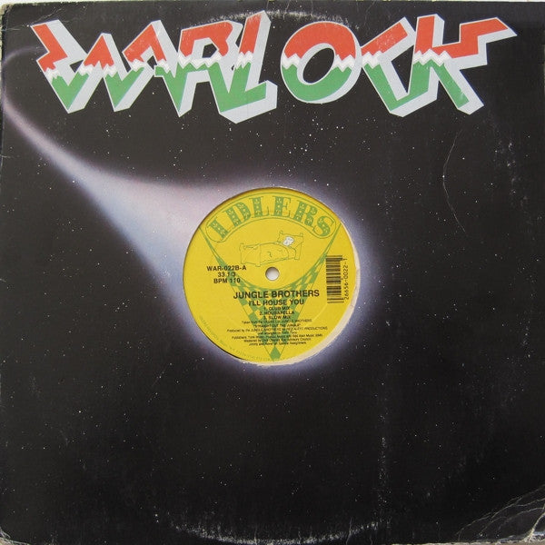 Jungle Brothers : I'll House You (12")