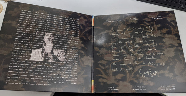 Serena Ryder : The Art Of Falling Apart (LP, Album, Gat)