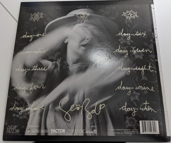 Serena Ryder : The Art Of Falling Apart (LP, Album, Gat)