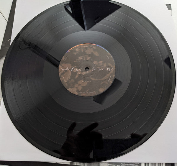 Serena Ryder : The Art Of Falling Apart (LP, Album, Gat)