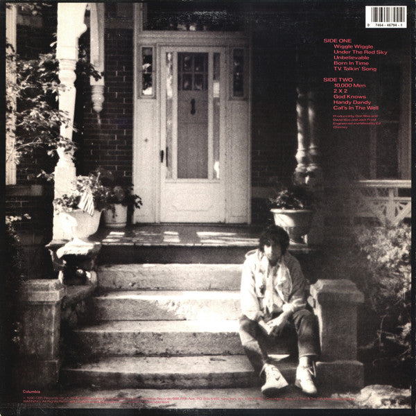 Bob Dylan : Under The Red Sky (LP, Album)
