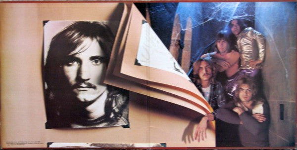 Joe Walsh : The Smoker You Drink, The Player You Get (LP, Album)