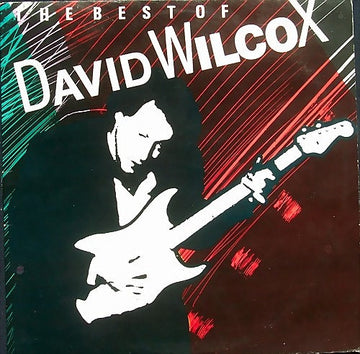 David Wilcox (2) : The Best Of David Wilcox (LP, Comp)