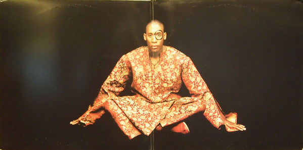 Raphael Saadiq : Instant Vintage (2xLP, Album, Promo, Gat)