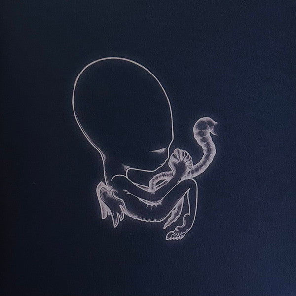 Sigur Rós : Ágætis Byrjun (2xLP, Album, Club, RE, RM, Blu)