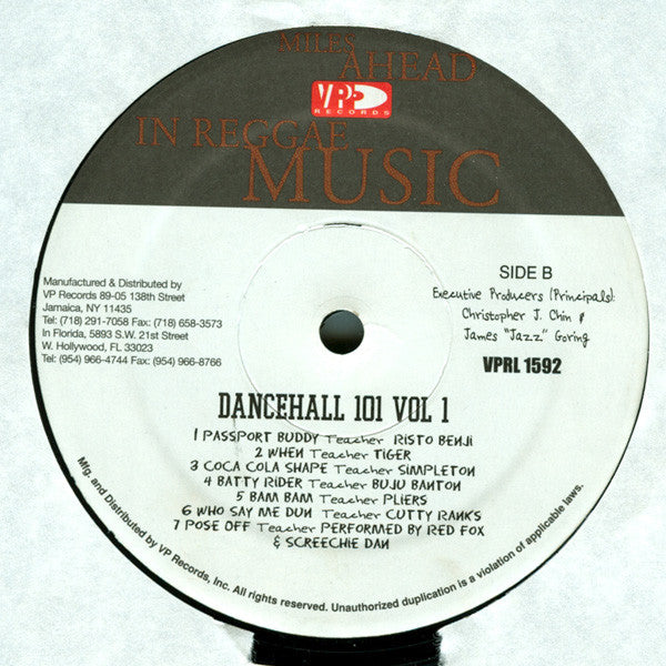 Various : Dancehall 101 Vol. 1 (LP, Comp)