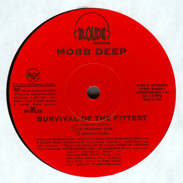 Mobb Deep : Survival Of The Fittest (12")