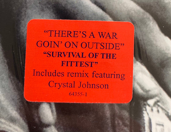 Mobb Deep : Survival Of The Fittest (12")