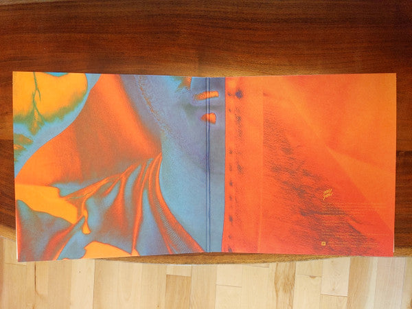 Toro Y Moi : Anything In Return (2xLP, Album)