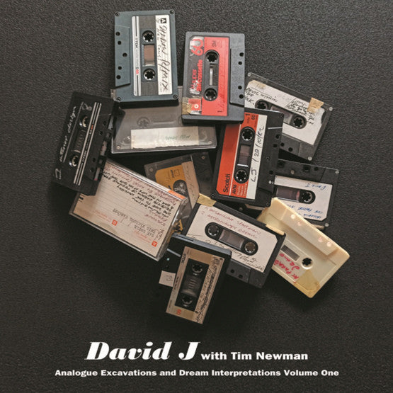 David J With  Tim Newman (11) : Analogue Excavations And Dream Interpretation Volume One (LP, Album, Ltd, Red)