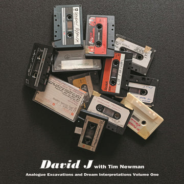 David J With  Tim Newman (11) : Analogue Excavations And Dream Interpretation Volume One (LP, Album, Ltd, Red)