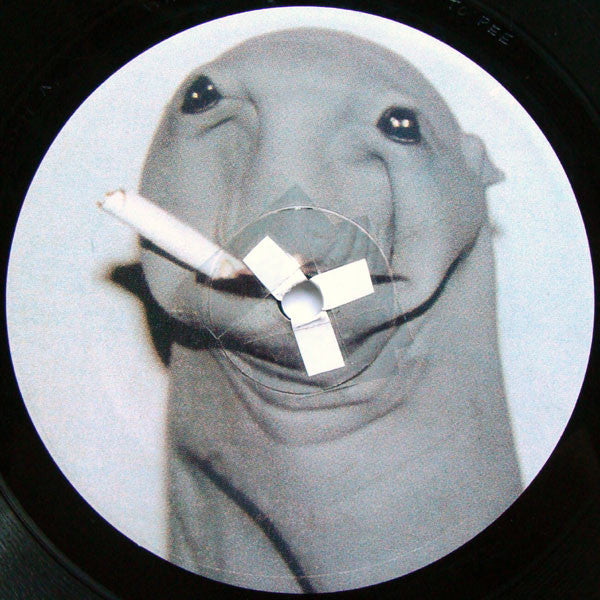 Skratchy Seal : Sealed Breaks (12")