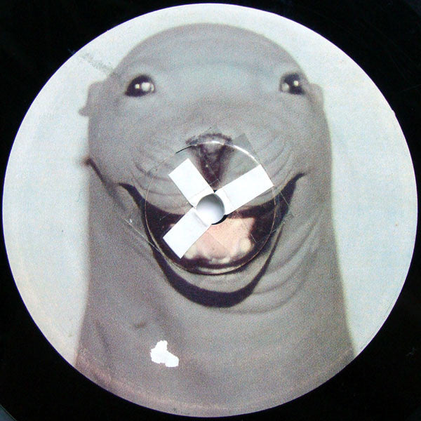 Skratchy Seal : Sealed Breaks (12")