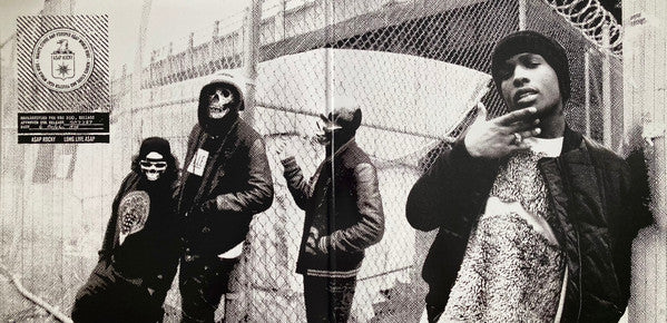 ASAP Rocky : Long.Live.A$AP  (2xLP, Album, RE, Ora)