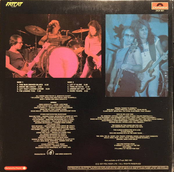 Goddo : Goddo (LP, Album)