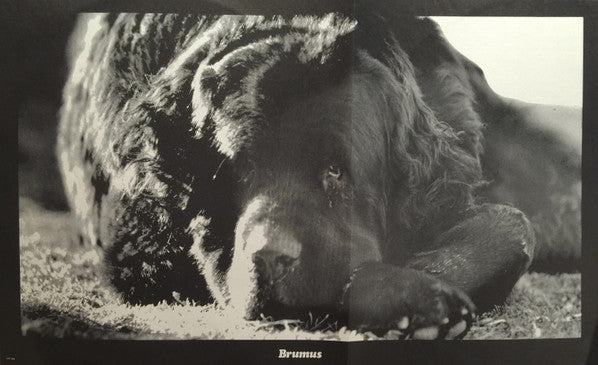 Jefferson Airplane : Crown Of Creation (LP, Album)