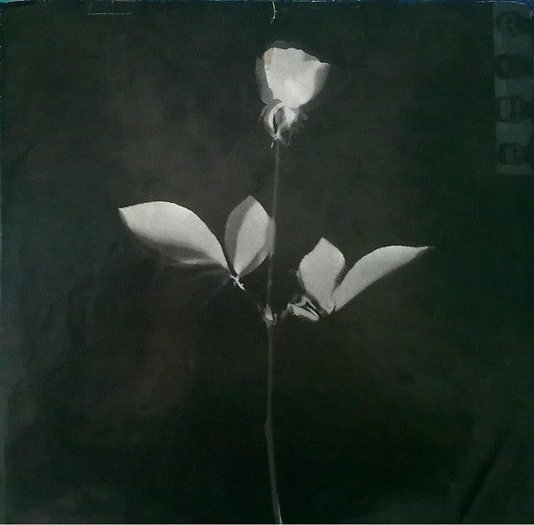 Depeche Mode : Violator (LP, Album)